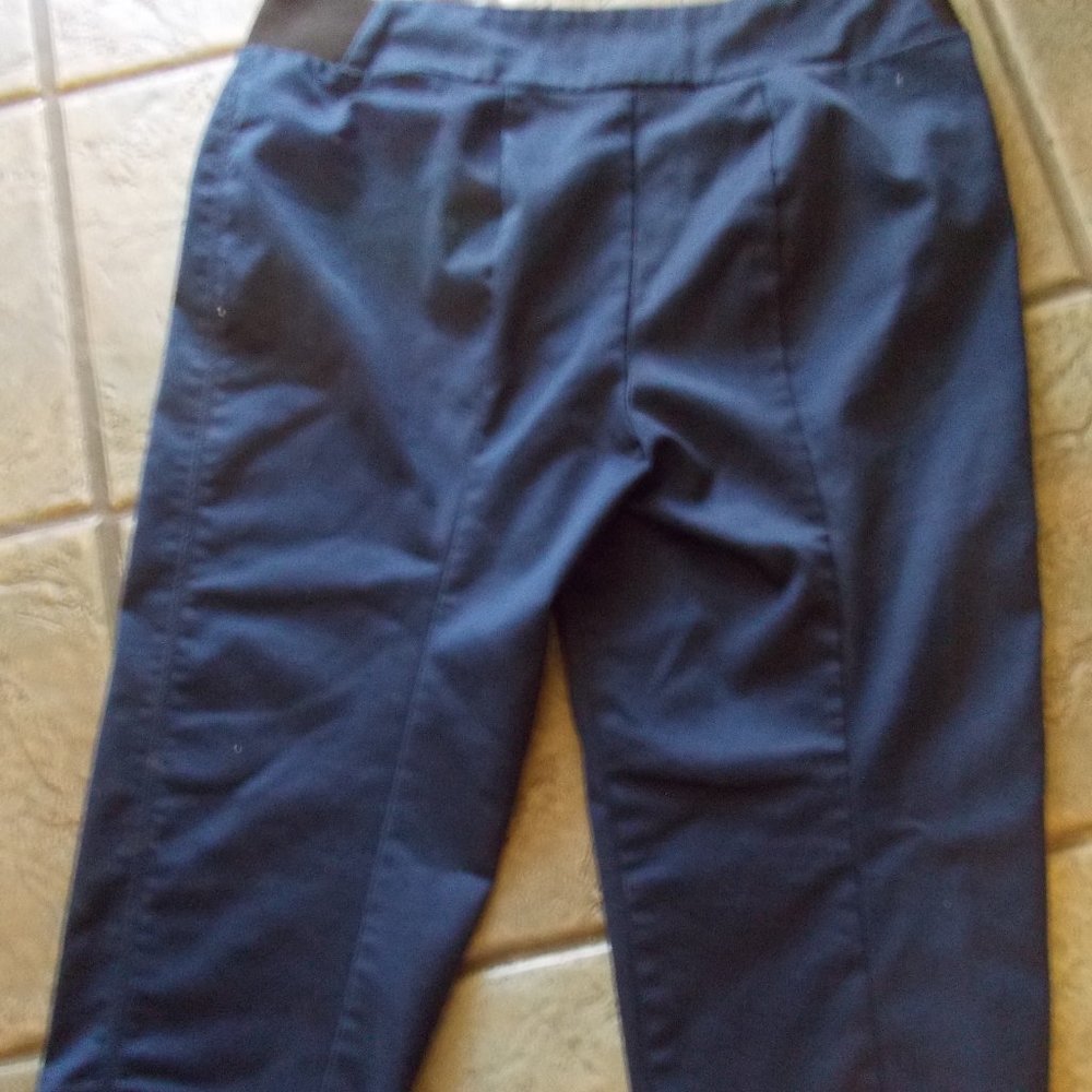 EUC ladies blue pants sz 14 by Intro Love the Fit